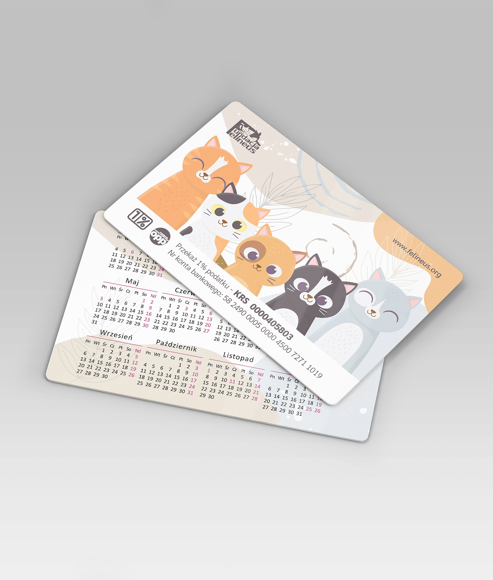 Fundacja Felineus - materiały promocyjne