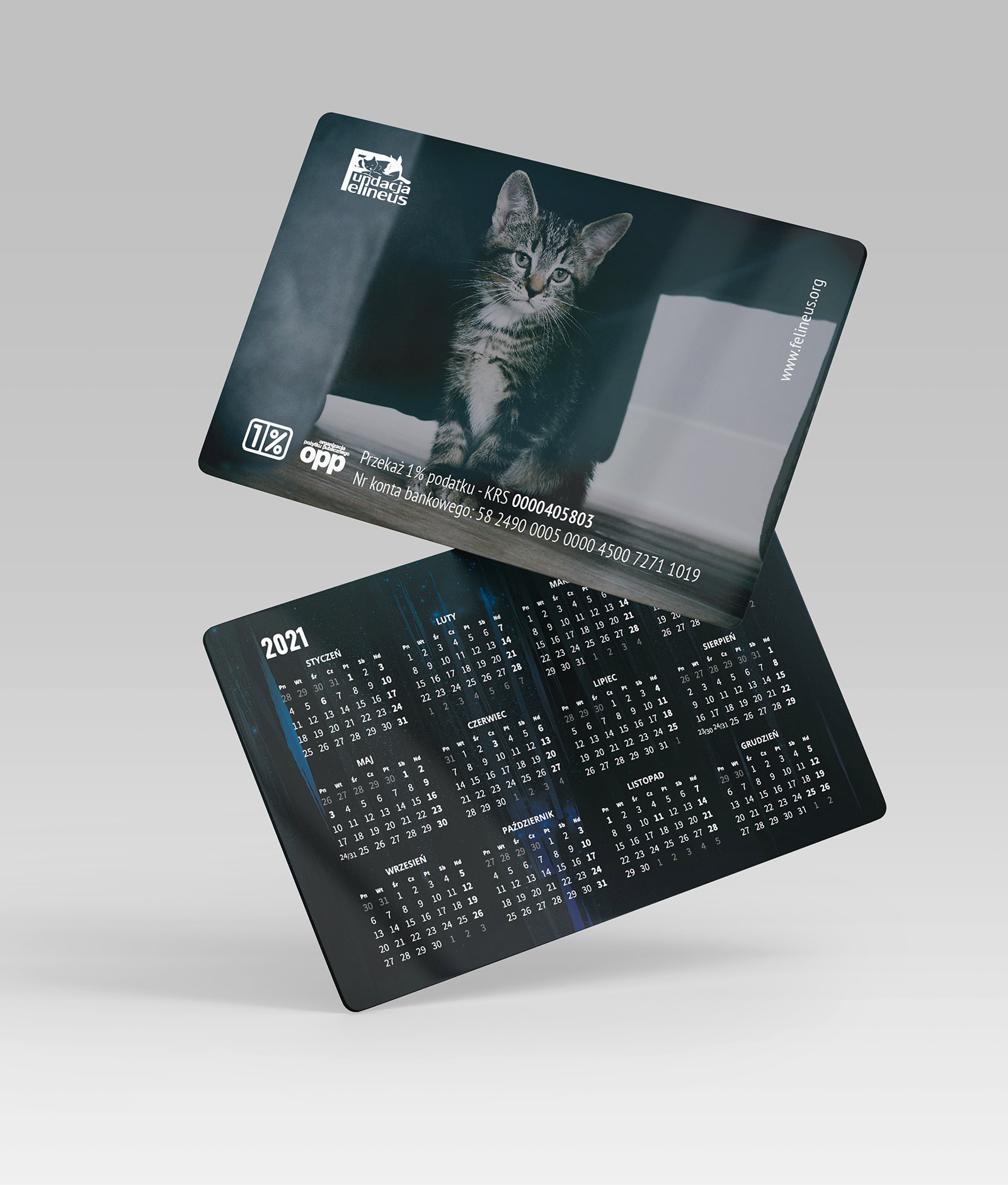 Fundacja Felineus - materiały promocyjne