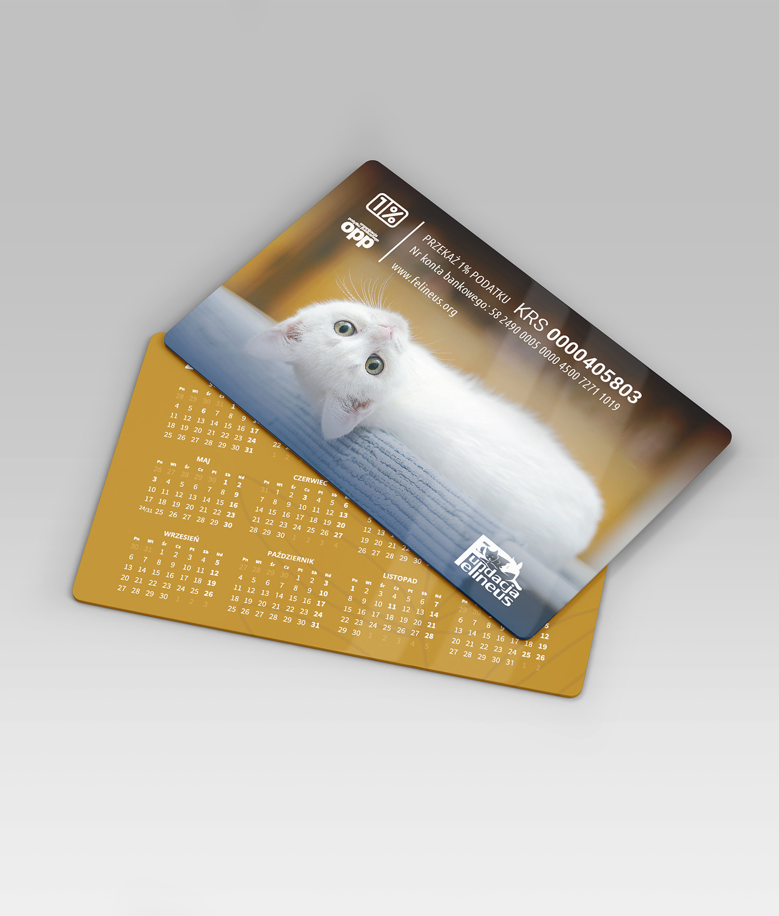 Fundacja Felineus - materiały promocyjne