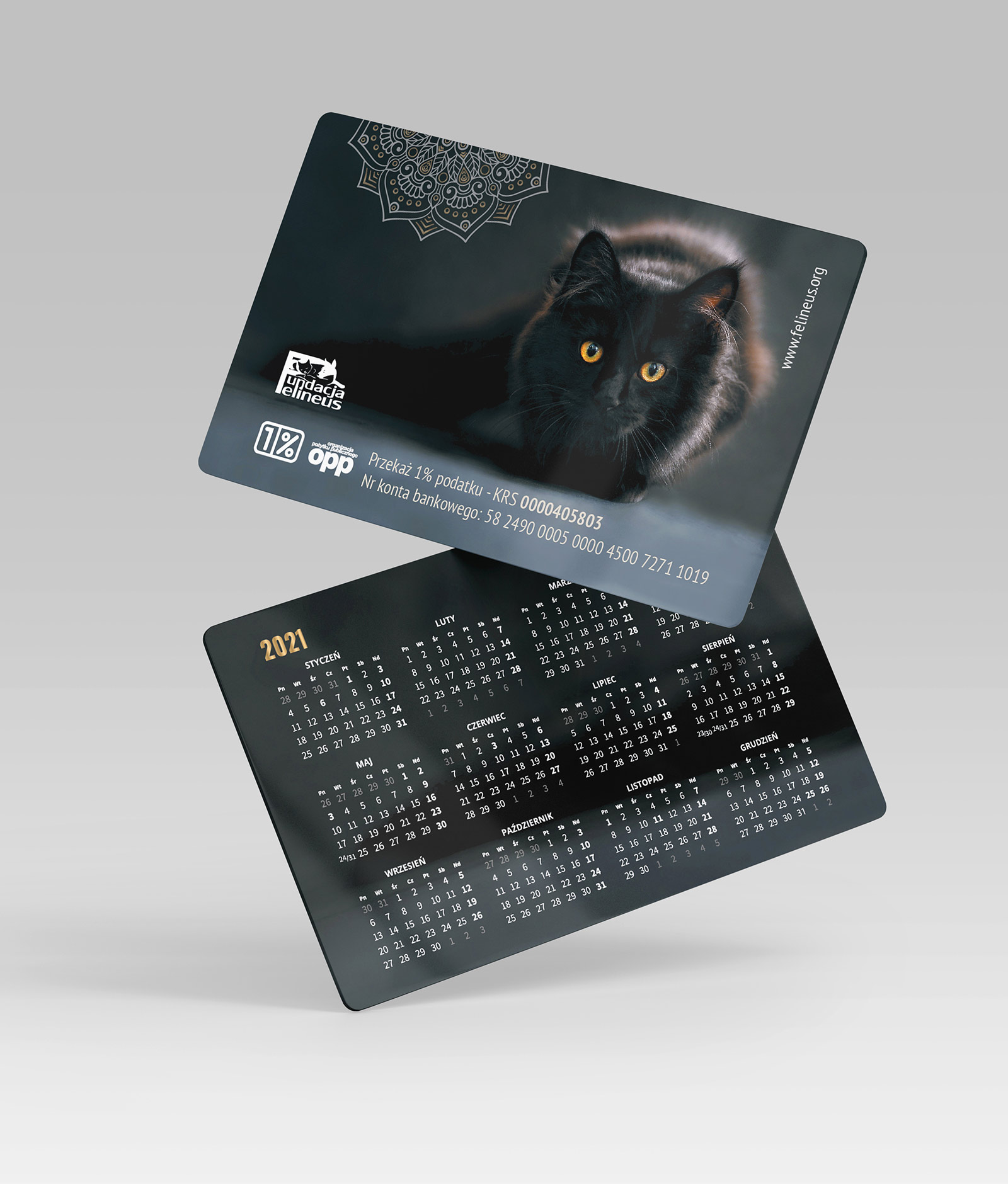 Fundacja Felineus - materiały promocyjne