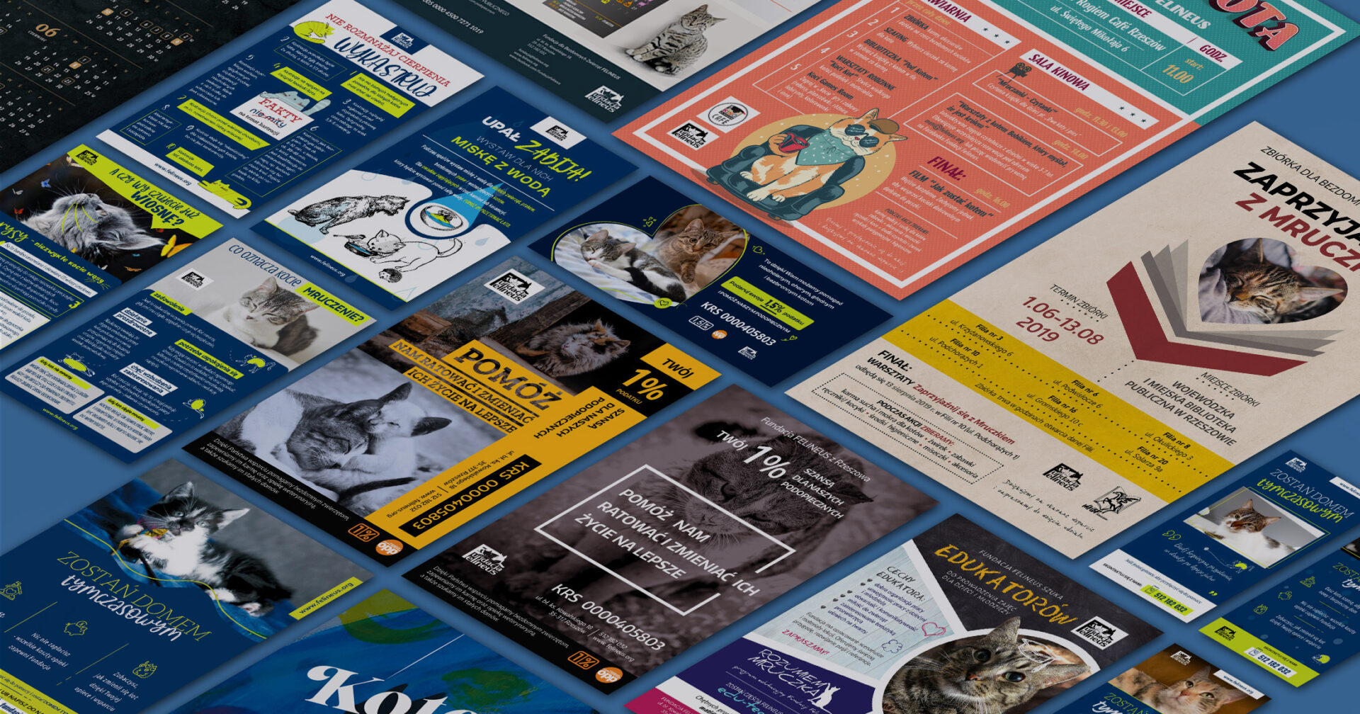 Fundacja Felineus – materiały promocyjne