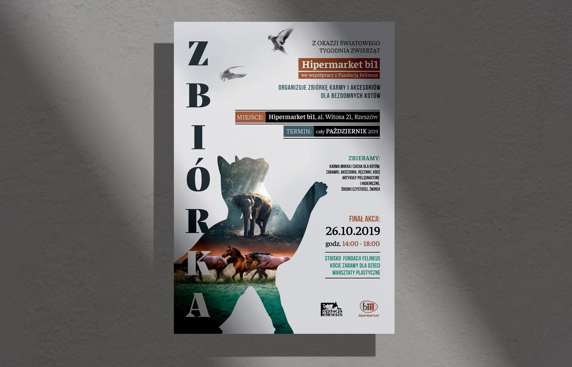 Fundacja Felineus – materiały promocyjne