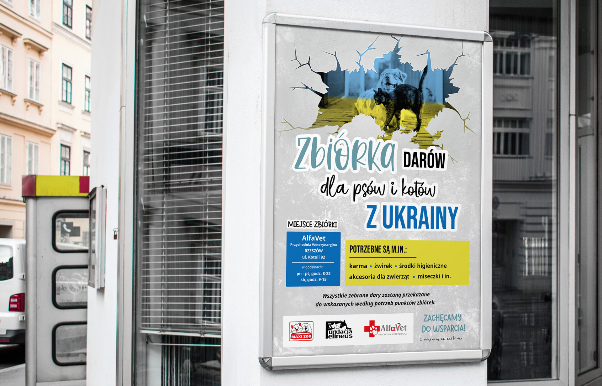 Fundacja Felineus – materiały promocyjne