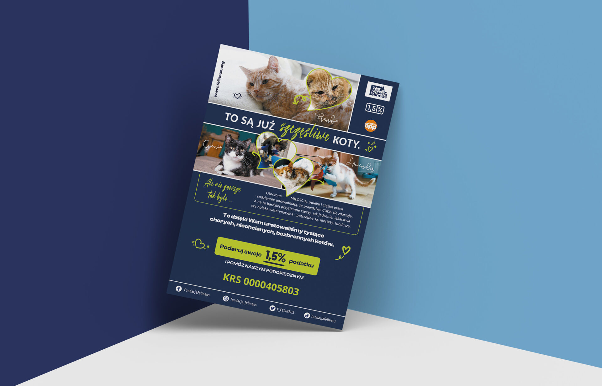 Fundacja Felineus – materiały promocyjne