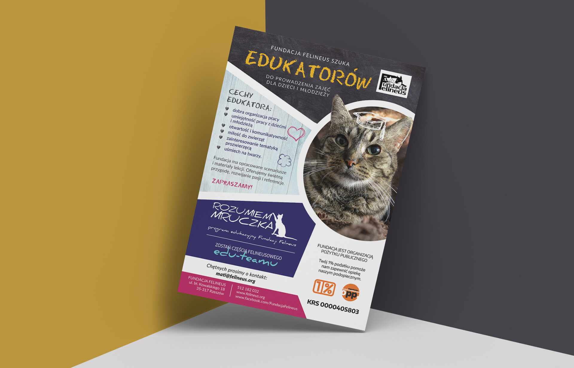 Fundacja Felineus – materiały promocyjne