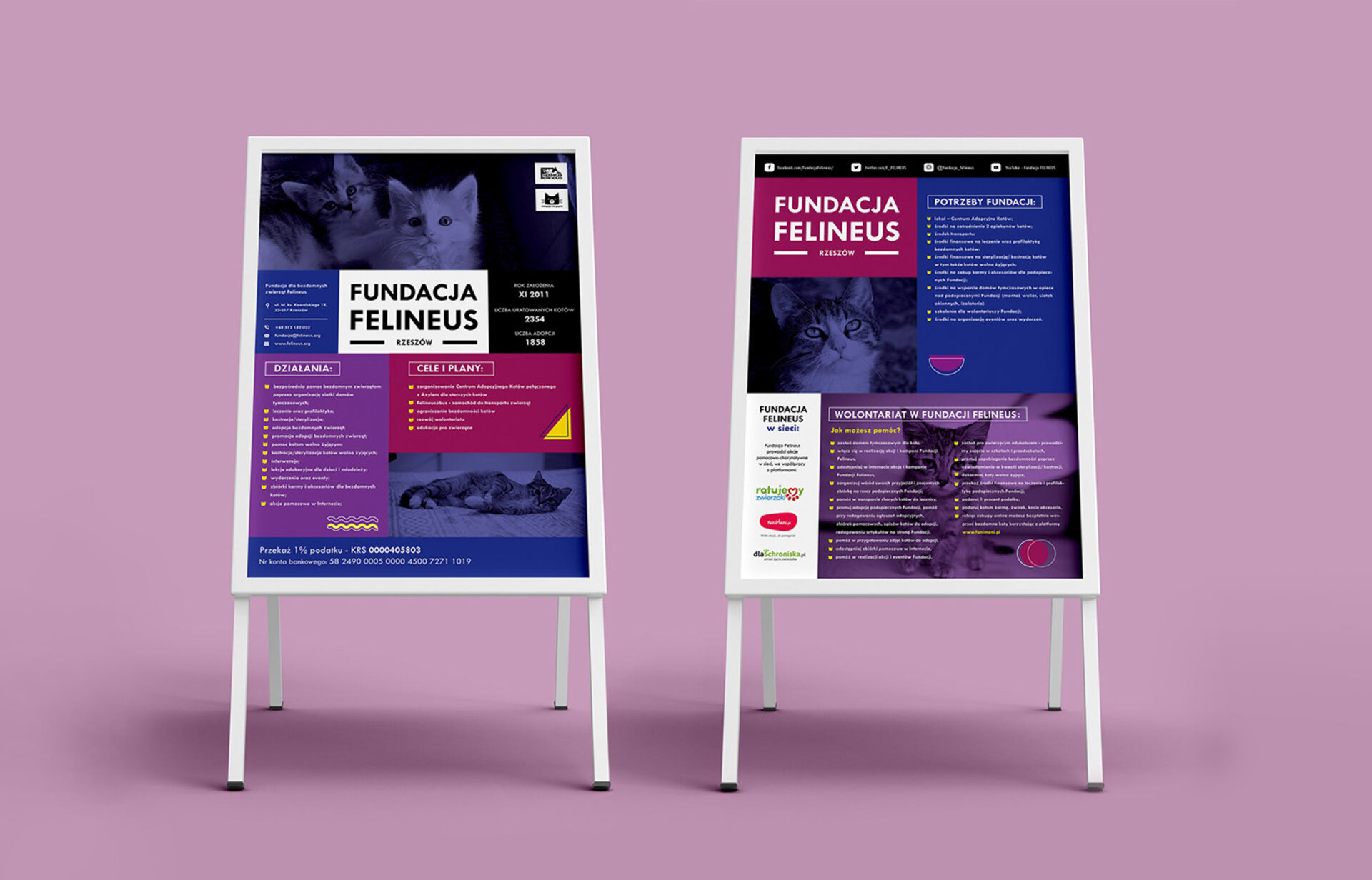 Potykacz – Fundacja Felineus
