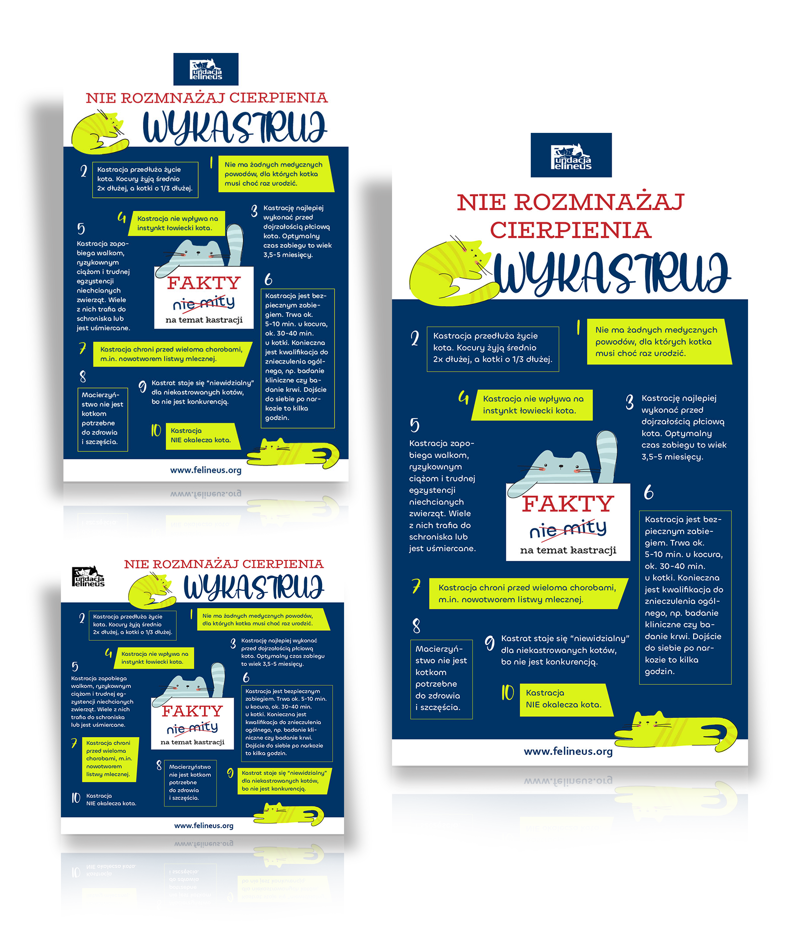 Fundacja Felineus - materiały promocyjne