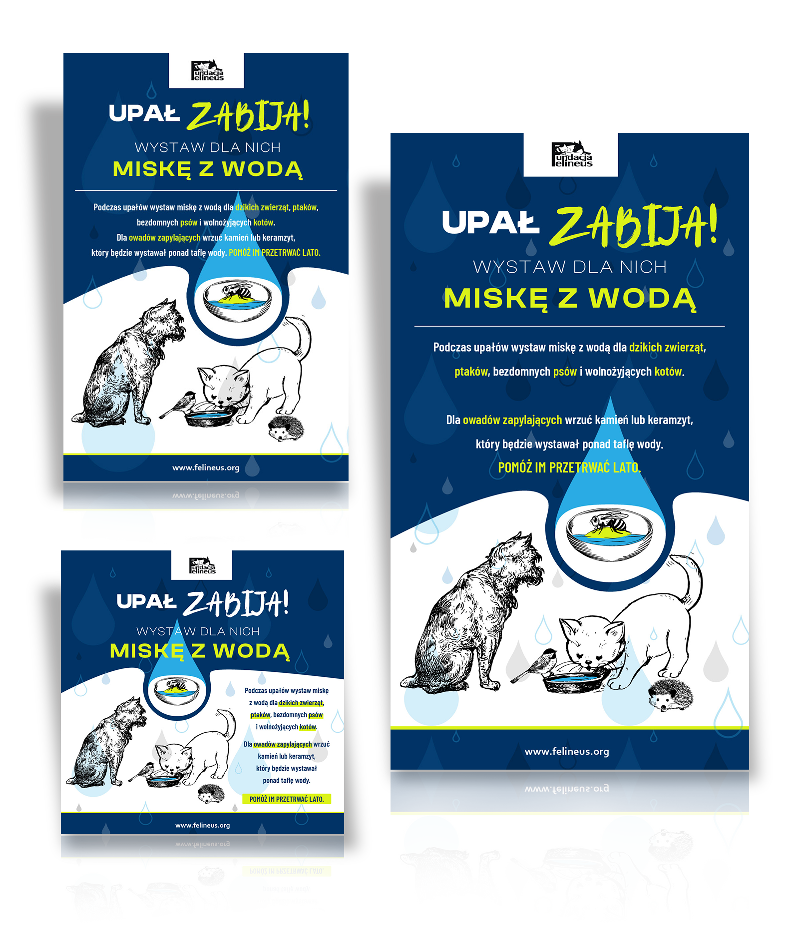 Fundacja Felineus - materiały promocyjne