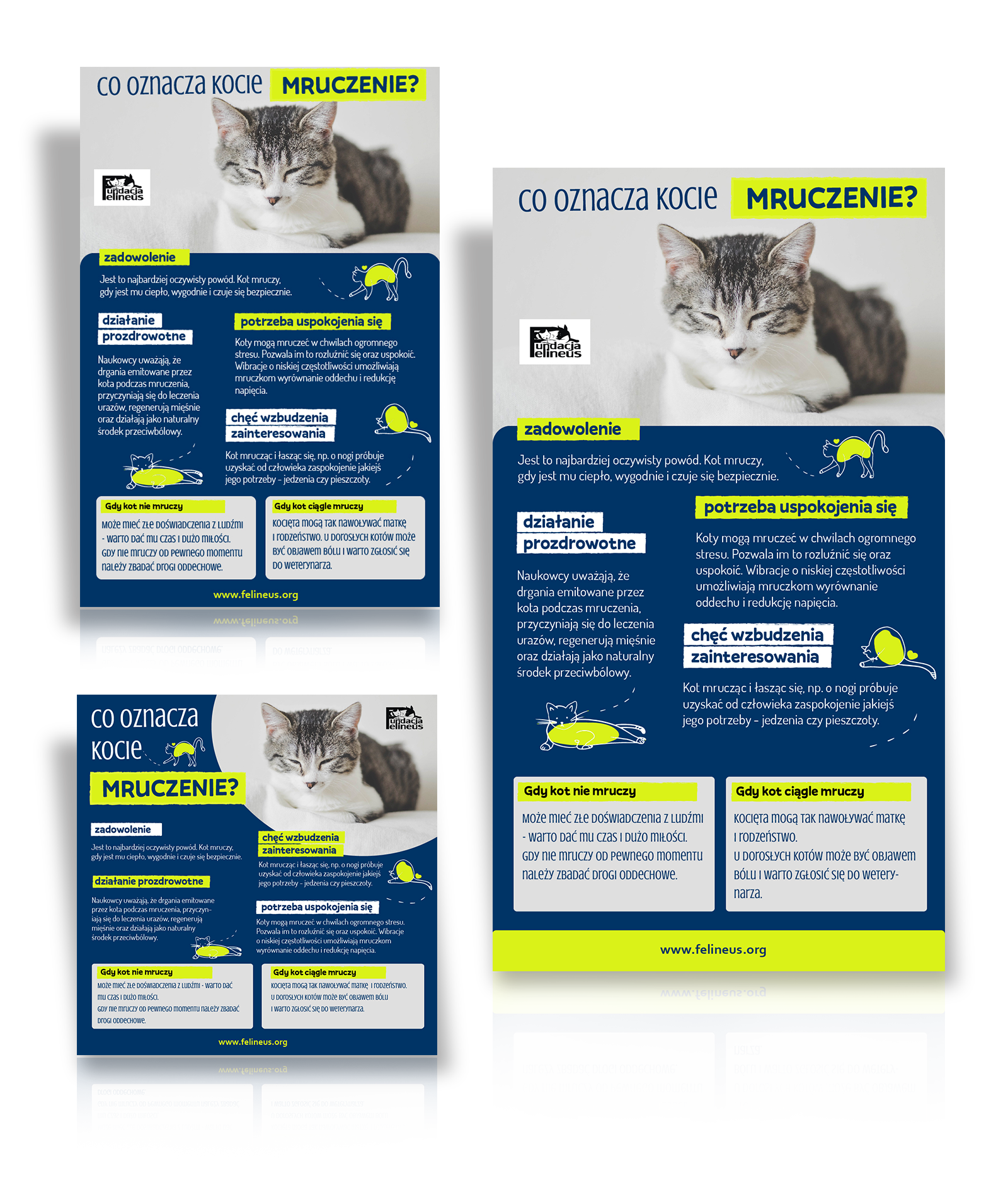 Fundacja Felineus - materiały promocyjne