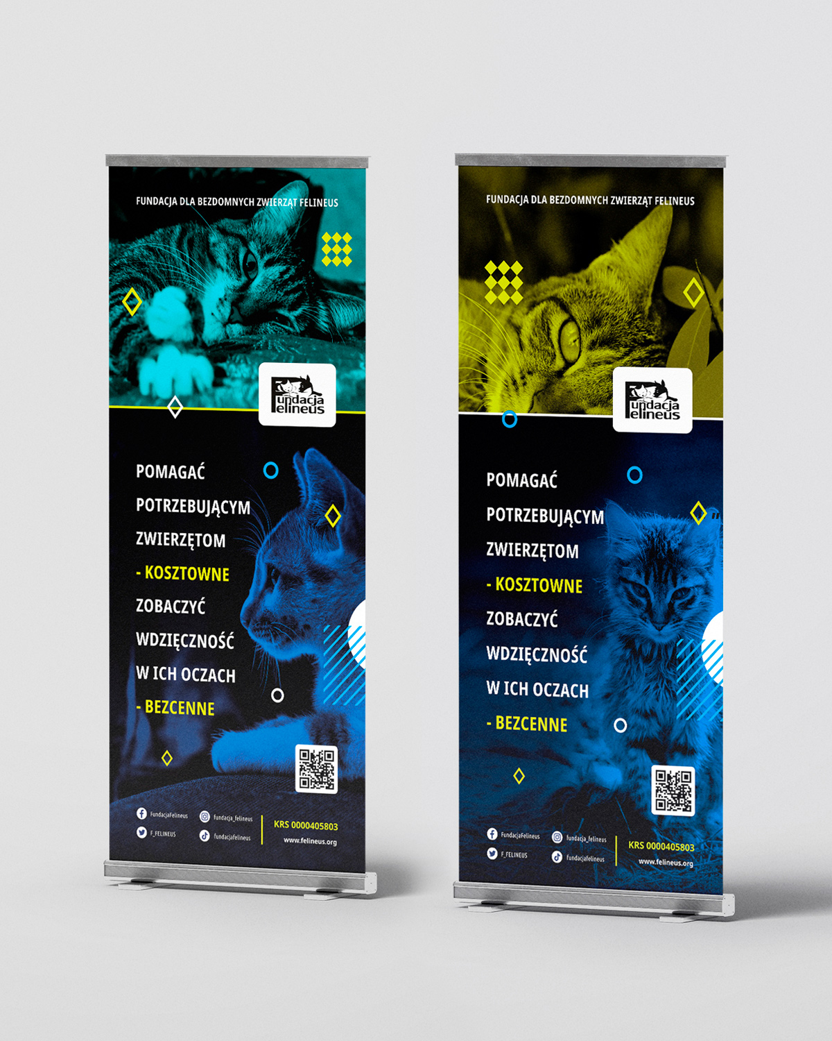 Roll-up – Fundacja Felineus